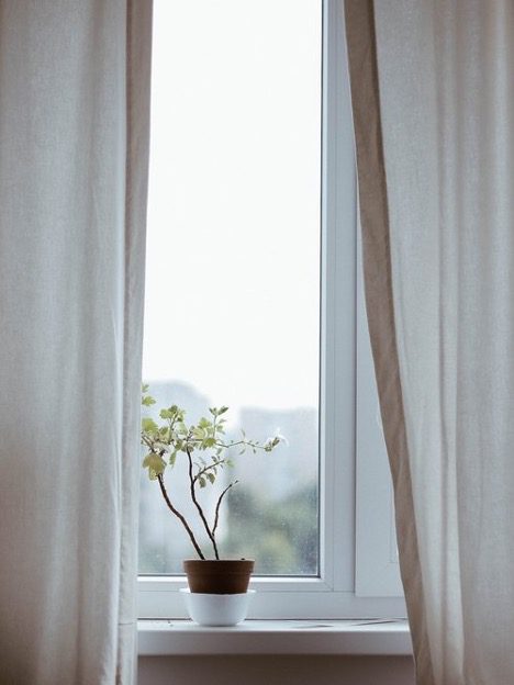 A small plant sits on a window sill surrounded by linen drapes represents the WELL air concept